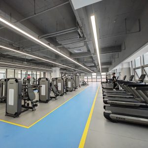 惠州德赛西威惠南工业园1